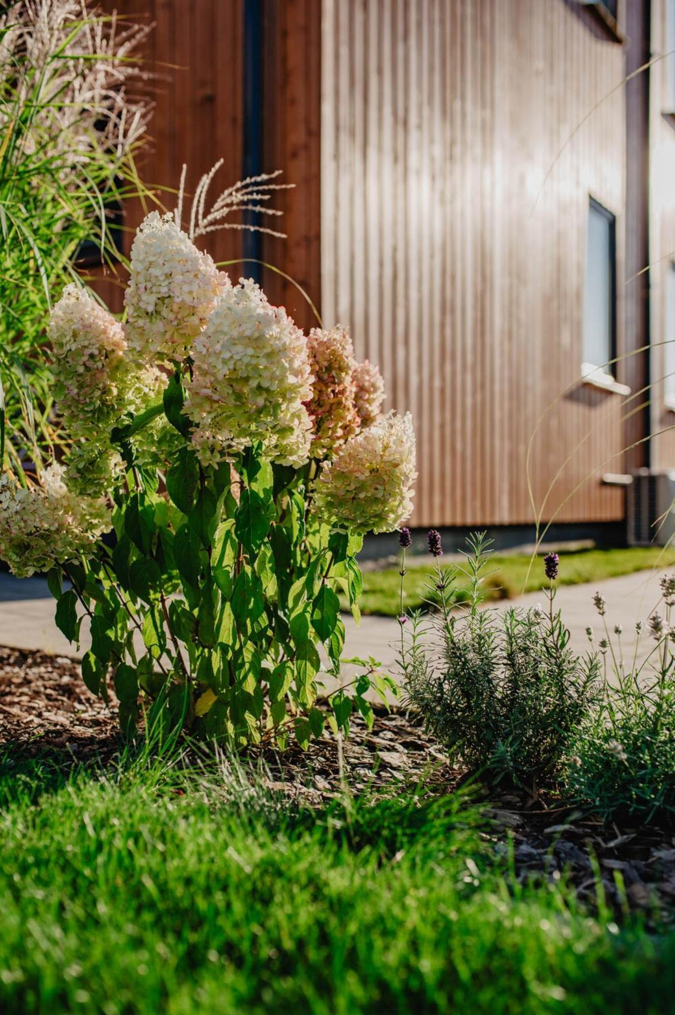 Dwa Brzegi Appartement Międzywodzie Buitenkant foto